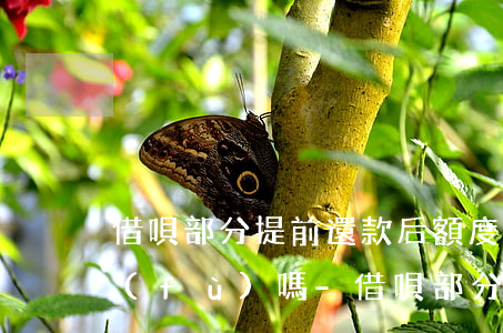 借唄部分提前還款后額度會(huì)恢復(fù)嗎-借唄部分提前還款后額度會(huì)恢復(fù)嗎安全嗎