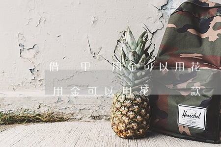 借唄里備用金可以用花唄還款嗎-借唄里備用金可以用花唄還款嗎安全嗎