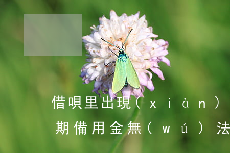 借唄里出現(xiàn)備用金逾期(借唄逾期備用金無(wú)法使用多久恢復(fù))