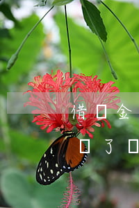借唄金條15萬(wàn)無(wú)力償還了會(huì)怎樣-借唄金條15萬(wàn)無(wú)力償還了會(huì)怎樣處理