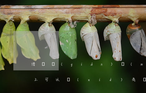 借唄錢(qián)沒(méi)逾期還不上可以協(xié)商嗎-借唄錢(qián)沒(méi)逾期還不上可以協(xié)商嗎怎么辦