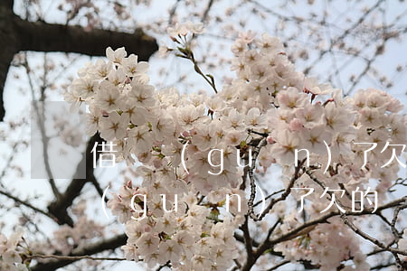 借唄關(guān)了欠的錢怎么還(借唄關(guān)了欠的錢怎么還)