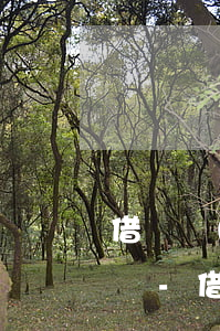 借唄關(guān)閉了還款后還能借出來嗎-借唄關(guān)閉了還款后還能借出來嗎?