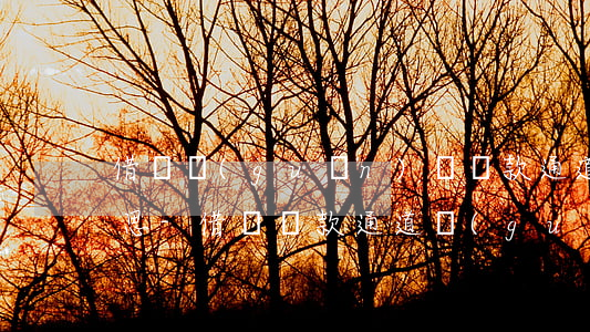借唄關(guān)閉還款通道代表什么意思-借唄還款通道關(guān)閉怎么還
