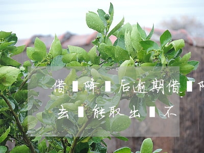 借唄降額后逾期(借唄降額了還進(jìn)去還能取出來不)