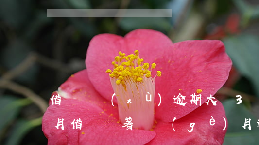 借唄陸續(xù)逾期大約3個(gè)多月(借唄連著兩個(gè)月逾期)