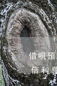 借唄預(yù)期還款一年會(huì)加倍利息嗎-借唄預(yù)期還款一年會(huì)加倍利息嗎多少