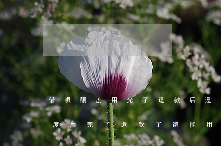 借唄額度用光了還款后還可以借么-借唄額度用完了還款了還能用嗎?