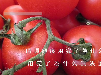借唄額度用完了為什么無法還款-借唄額度用完了為什么無法還款了
