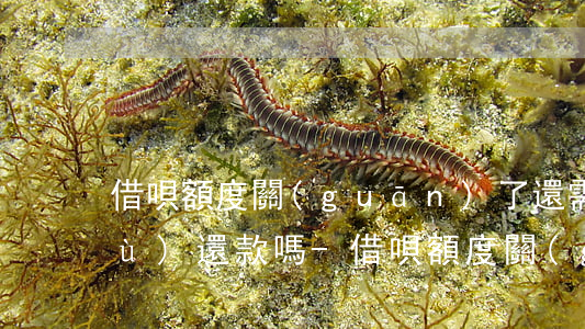 借唄額度關(guān)了還需要繼續(xù)還款嗎-借唄額度關(guān)了還需要繼續(xù)還款嗎安全嗎