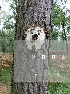 借唄顯示當(dāng)前有貸款逾期(借唄顯示當(dāng)前有貸款逾期)