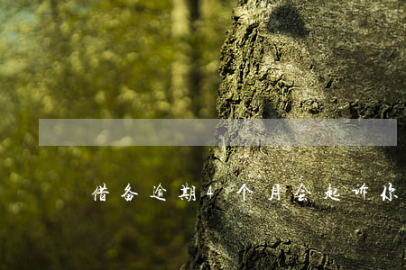 借备逾期4个月会起诉你吗