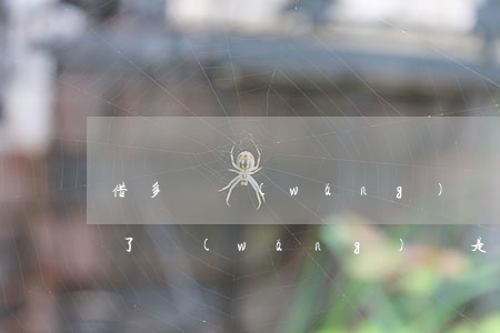 借多個網(wǎng)貸不還會怎么樣(借多了網(wǎng)貸是不是借不到了)