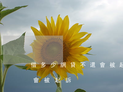 借多少網貸不還會被起訴(網貸超過多少不還會被起訴)