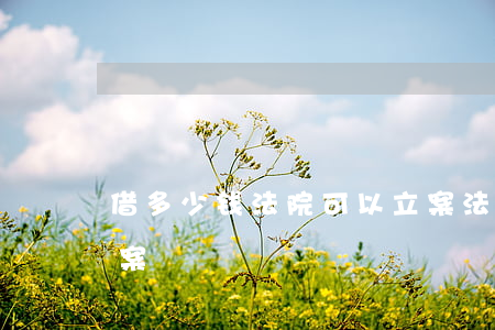 借多少钱法院可以立案（法院借钱多少才能立案）