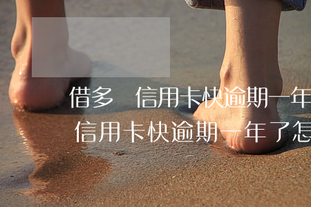借多張信用卡快逾期一年了怎么辦-借多張信用卡快逾期一年了怎么辦呢