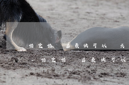 借完借唄后最快可以幾天內(nèi)還款-借完借唄后最快可以幾天內(nèi)還款嗎