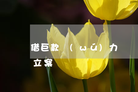 借巨款無(wú)力償還-借巨款不還怎樣立案