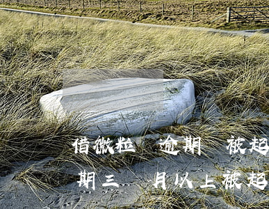 借微粒貸逾期會被起訴嗎(有沒有人微粒貸逾期三個月以上被起訴的)