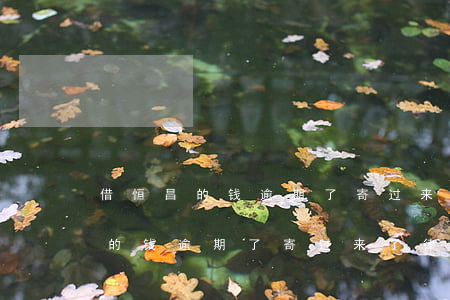 借恒昌的钱逾期了寄过来了律师函-借恒昌的钱逾期了寄过来了律师函怎么办
