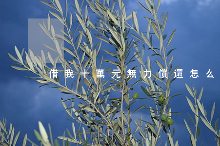 借我十萬元無力償還怎么辦