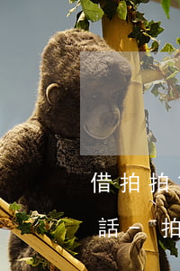 借拍拍貸逾期被地方法院打來(lái)電話-拍拍貸逾期了打電話說(shuō)要起訴是真是假