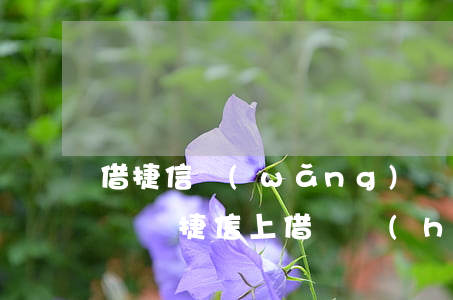 借捷信網(wǎng)貸會(huì)被起訴嗎 捷信上借錢會(huì)上征信嗎
