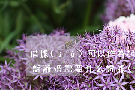 借據(jù)可以作為起訴離婚的條件嗎(起訴離婚需要什么證據(jù)才能判離婚)