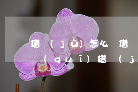 借據(jù)怎么寫(借據(jù)怎么寫正規(guī) 借據(jù))