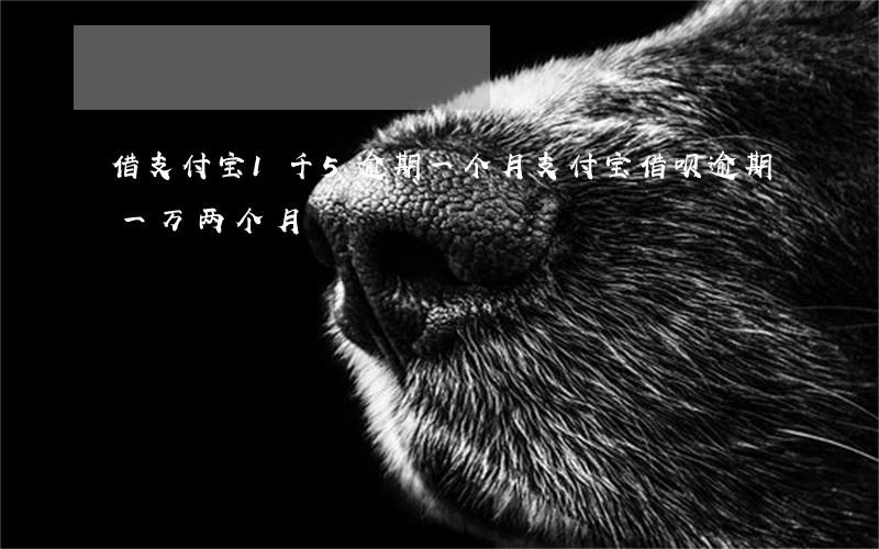 借支付宝1千5逾期一个月(支付宝借呗逾期一万两个月)