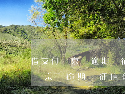 借支付寶京東逾期對征信有影響嗎-借支付寶京東逾期對征信有影響嗎知乎