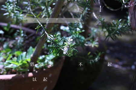借支付寶錢不還會起訴嗎(支付寶借錢不還可以起訴嗎)