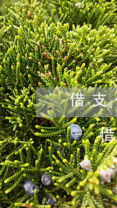 借支公款逾期未還違反什么規(guī)定-借支公款逾期未還違反什么規(guī)定了