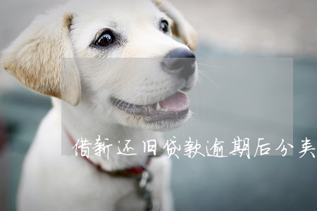 借新还旧贷款逾期后分类(借新贷还旧贷)