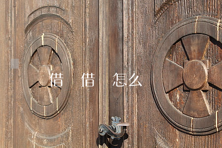 借書借條怎么寫