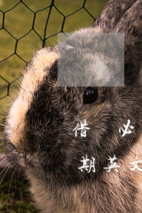 借書必須按時(shí)歸還的英文（借書逾期英文）