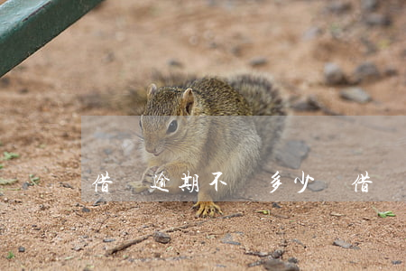 借書逾期不還多少錢 借書過期一天多少錢