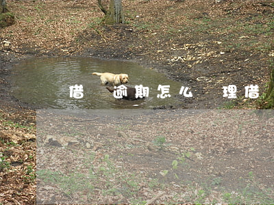 借書逾期怎么辦理（借書證逾期3天要交罰款嗎）