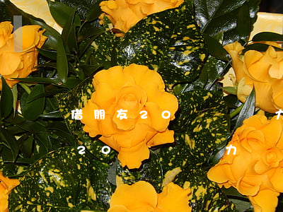 借朋友20萬確實無力償還怎么弄-借朋友20萬確實無力償還怎么弄證據(jù)