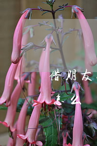 借朋友三十萬無力償還(朋友借款30萬不還怎么辦)