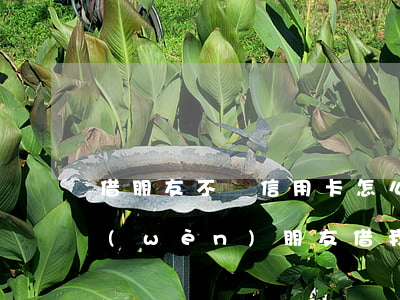 借朋友不還信用卡怎么辦(請(qǐng)問(wèn)朋友借我信用卡用現(xiàn)在不還怎么辦)