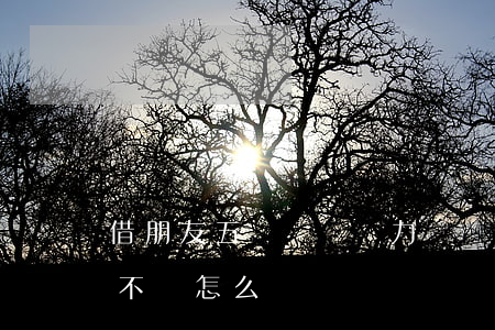 借朋友五萬塊錢無力償還被起訴(借朋友5萬不還怎么辦)