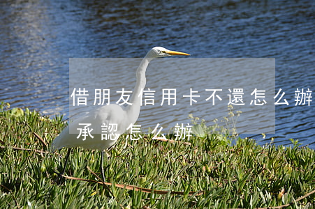 借朋友信用卡不還怎么辦(信用卡借朋友用不承認怎么辦)