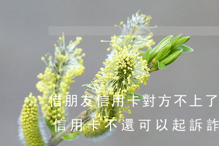 借朋友信用卡對方不上了能起訴嗎-借朋友信用卡不還可以起訴詐騙嗎