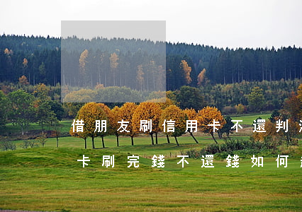 借朋友刷信用卡不還判決書(借給別人的信用卡刷完錢不還錢如何起訴)