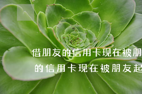 借朋友的信用卡现在被朋友起诉了-借朋友的信用卡现在被朋友起诉了怎么办