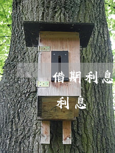 借期利息和逾期利息（借期内年息24和逾期利息）