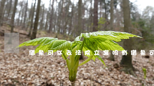借条可以去法院立案吗(有借条可以起诉吗?)