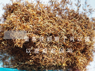 借条快到期了可以提前起诉吗(借条没到期可以提前起诉吗)