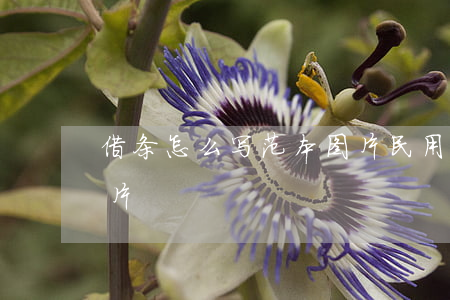 借条怎么写范本图片(民用借条怎么写范本图片)